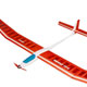 Reichard P 13 Special Electric ARF