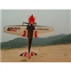 Pilot-RC Sbach342 29% :: 01 Thunderbird CF 
