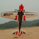 Pilot-RC Sbach342 49% :: 01 Thunderbird CF 