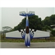 Pilot-RC Extra260 35% :: Scheme CH9 CF 